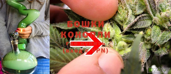 стафф Нефтекумск