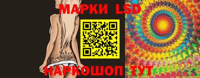 гашик Аргун