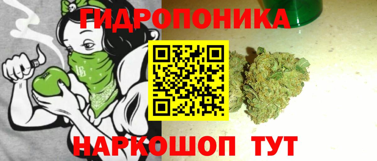 Канабис OG Kush  МАРИХУАНА гибрид  Кулебаки  Бошки марихуана сатива  Вход с VPN 